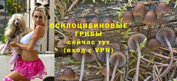 каннабис Аркадак